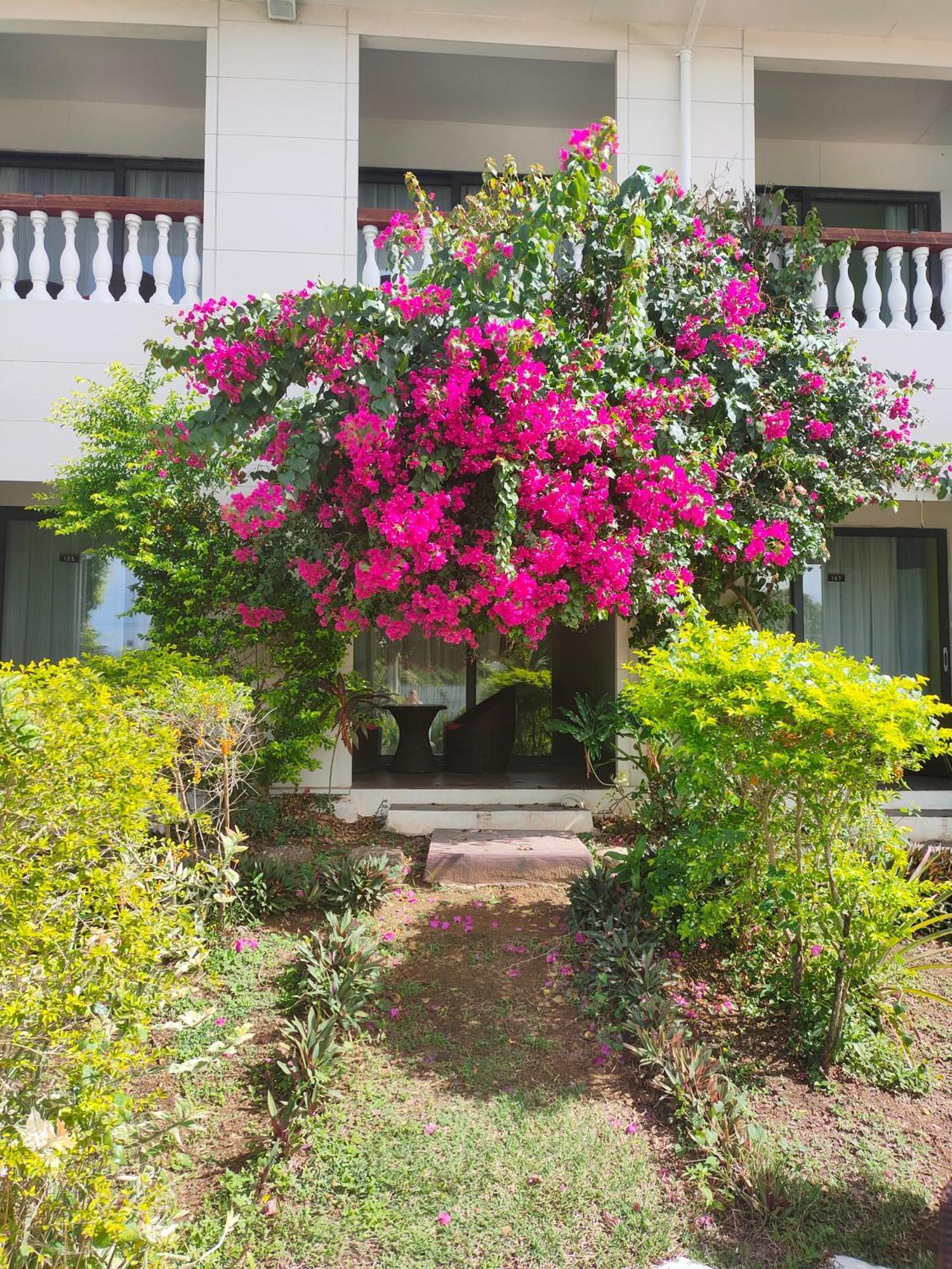 Nadi Fancy Hotel Exterior photo